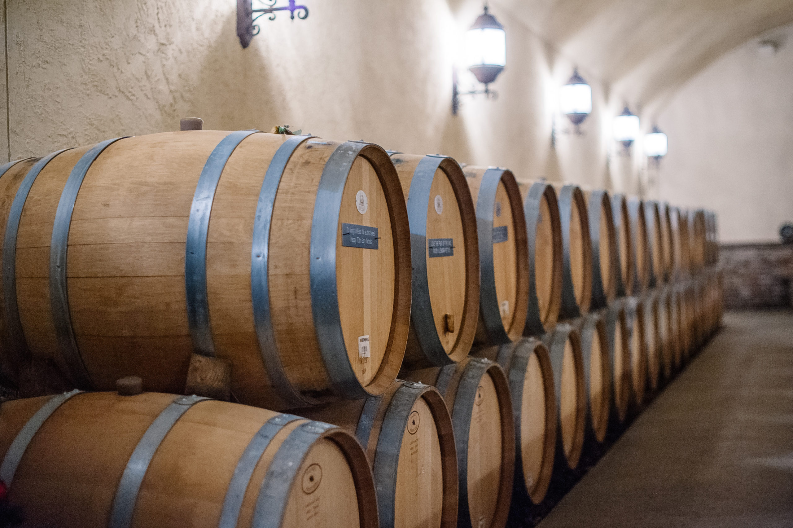 Two rows of wine barrels stacked on top of each other in a winery's cellar