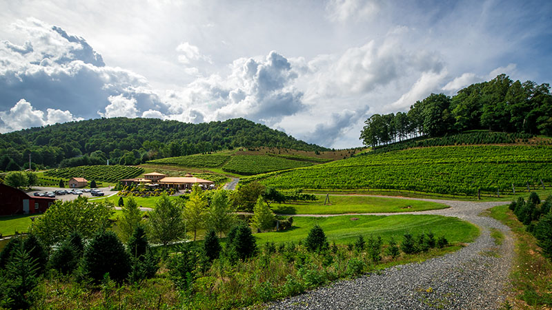 an image of a winery