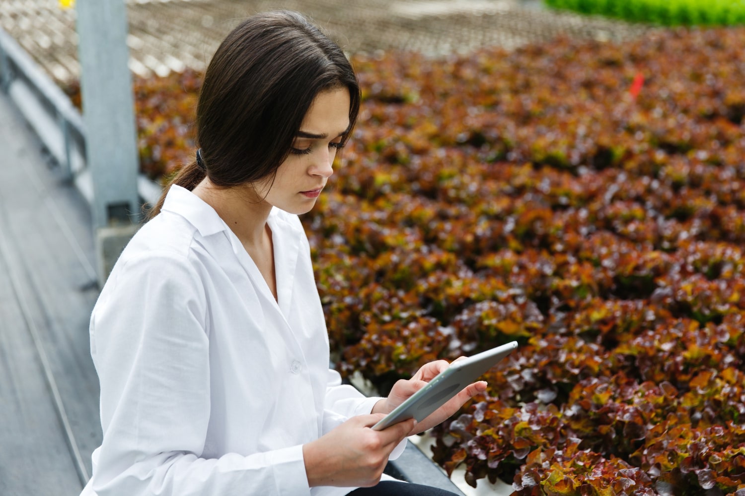 Revolutionize Winery Operations: The Power of Data Management Software